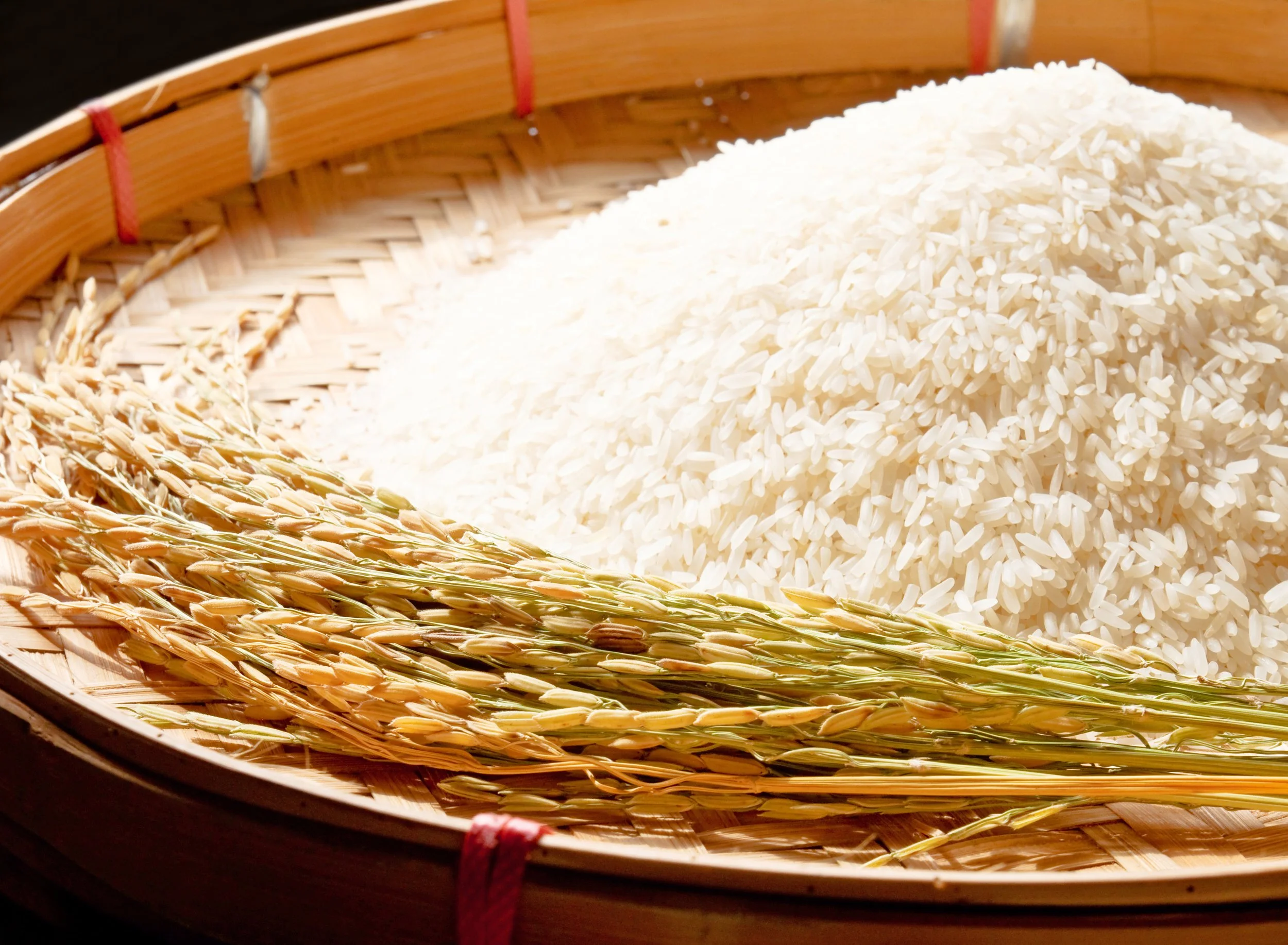 Premium Thai Rice