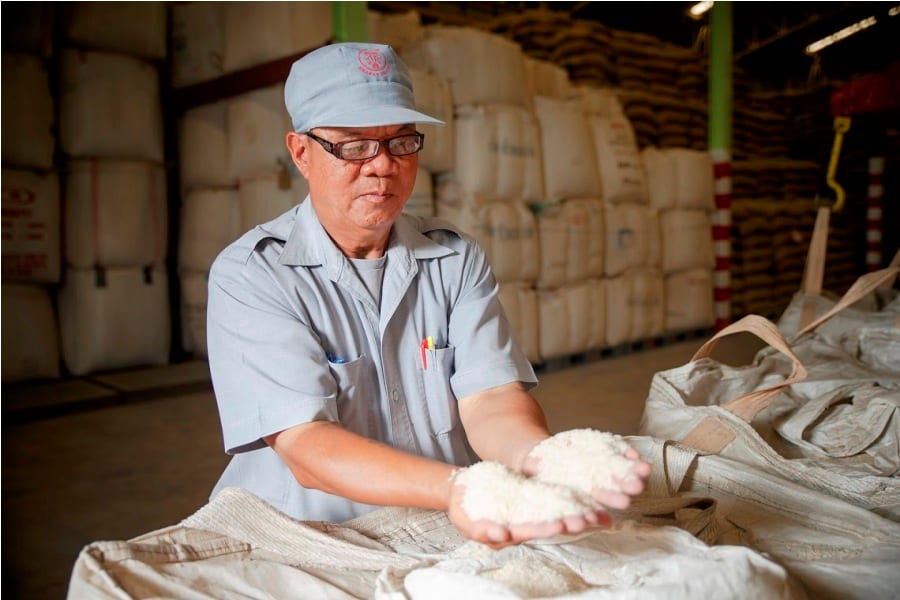 Cho Heng staff inspecting rice quality
